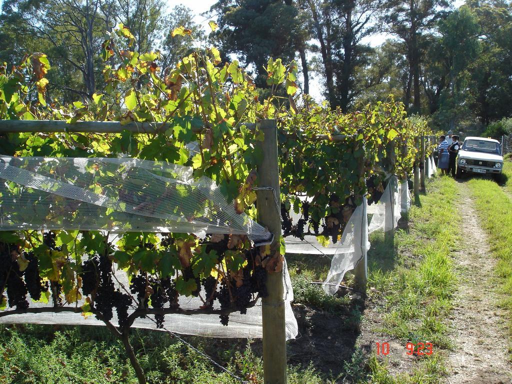 De Doornkraal Vinotel Ріверсдейл Екстер'єр фото