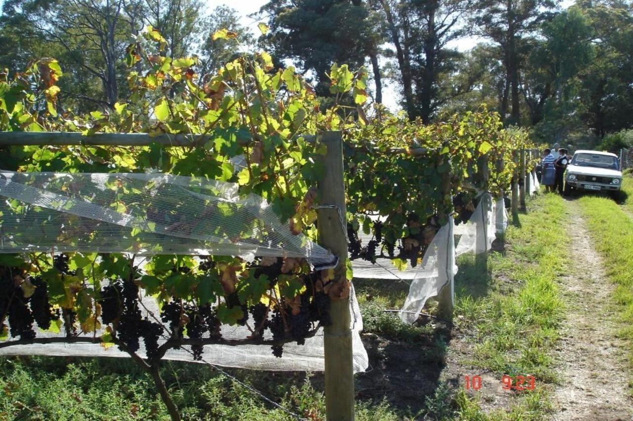 De Doornkraal Vinotel Ріверсдейл Екстер'єр фото
